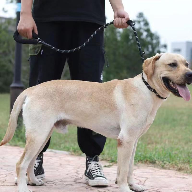 Large Dogs Rope Leash with Padded Handle & Reflective Threads 4Ft Non-Slip Nylon Hand Washable Collars for Active Breeds