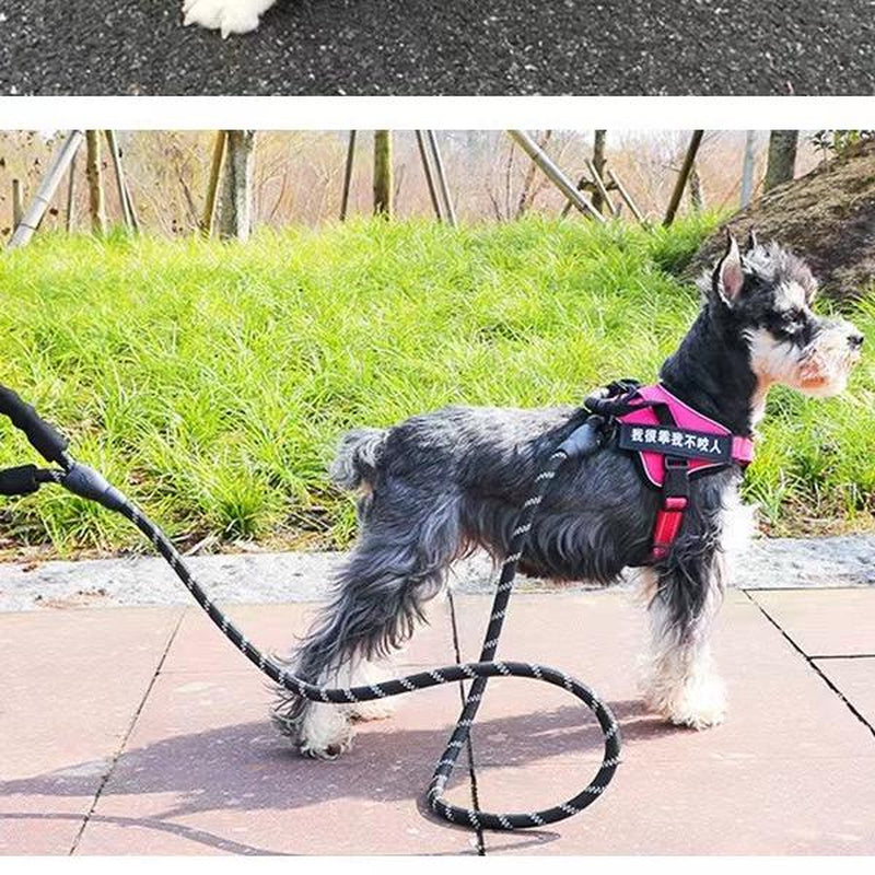 Large Dogs Rope Leash with Padded Handle & Reflective Threads 4Ft Non-Slip Nylon Hand Washable Collars for Active Breeds