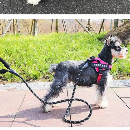 Large Dogs Rope Leash with Padded Handle & Reflective Threads 4Ft Non-Slip Nylon Hand Washable Collars for Active Breeds
